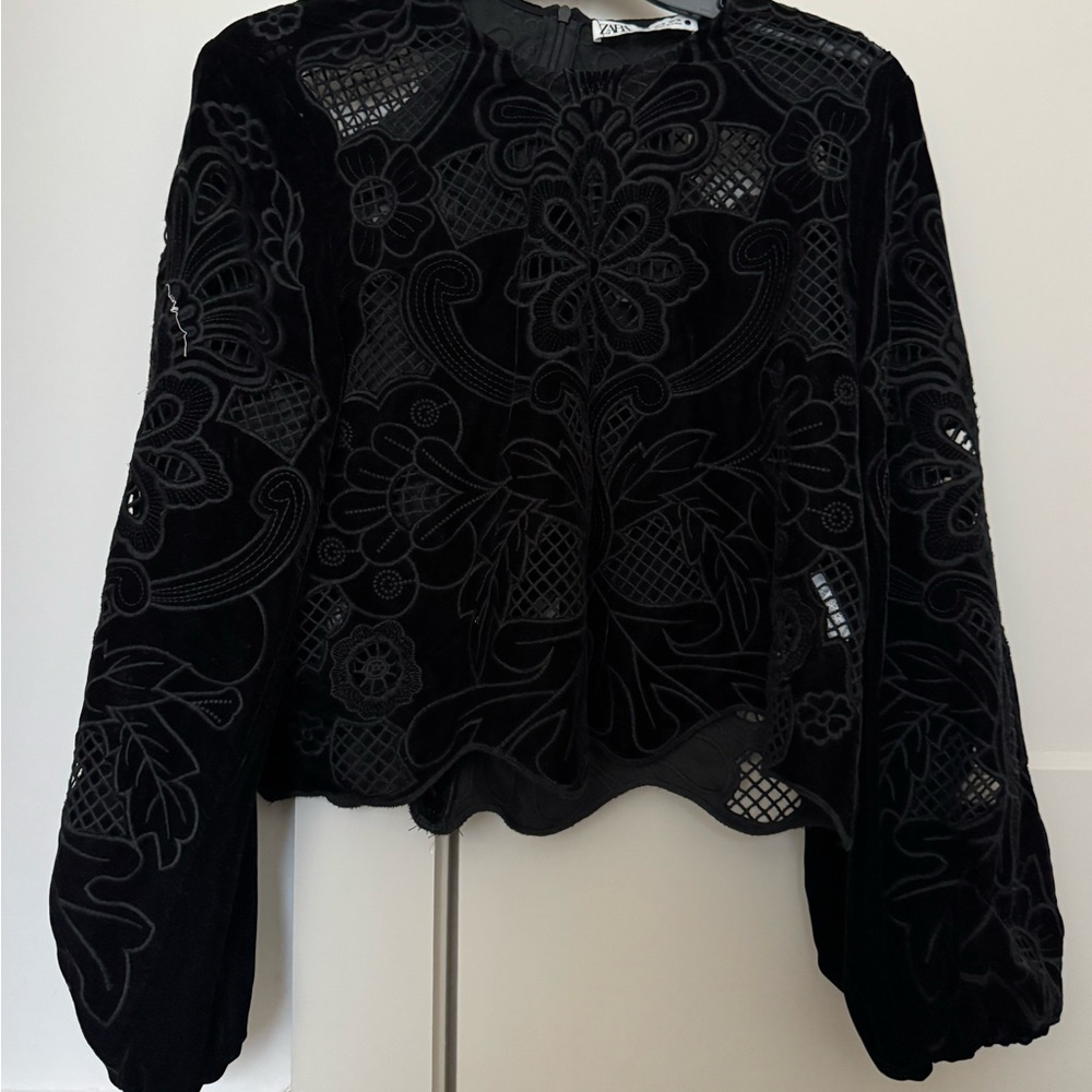 Zara embroiled velvet blouse crop top